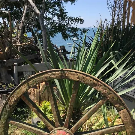 Apartment Floral, First Sea Line Coast *